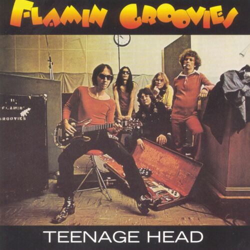 Capa de Teenage Head